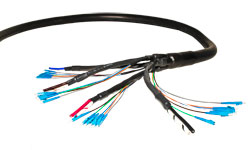 OptiFlex